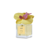 Muhà Diffusore Orchidea 100ml Uva E Fico