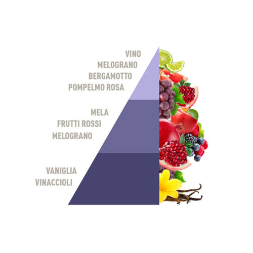 HOROMIA Diffusore d'ambiente a bastonicini Rattan Vibes Grape & Pomegranate 200ml