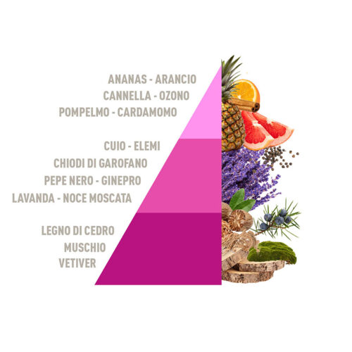 HOROMIA Diffusore d’ambiente a bastonicini Rattan Vibes Aromatic Freshness 200ml