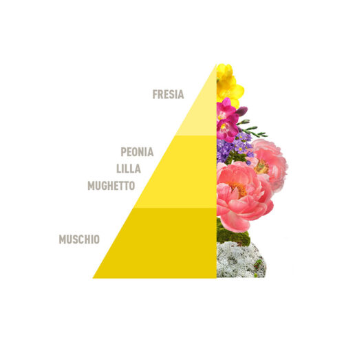 HOROMIA Diffusore d’ambiente a bastonicini Rattan Vibes Blooming Cotton 200ml