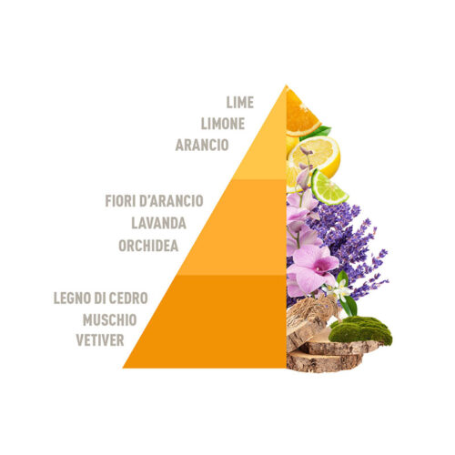 HOROMIA Diffusore d’ambiente a bastonicini Rattan Vibes Lime e Vetiver 200ml