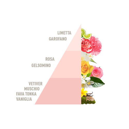 HOROMIA Diffusore d’ambiente a bastonicini Rattan Vibes Pure Musk 200ml