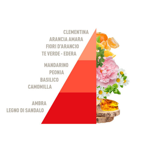 HOROMIA Diffusore d’ambiente a bastonicini Rattan Vibes Tangerine & Basil 200ml