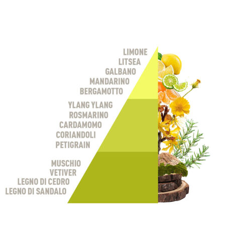 HOROMIA Diffusore d’ambiente a bastonicini Rattan Vibes White Tea & Tangerine 200ml