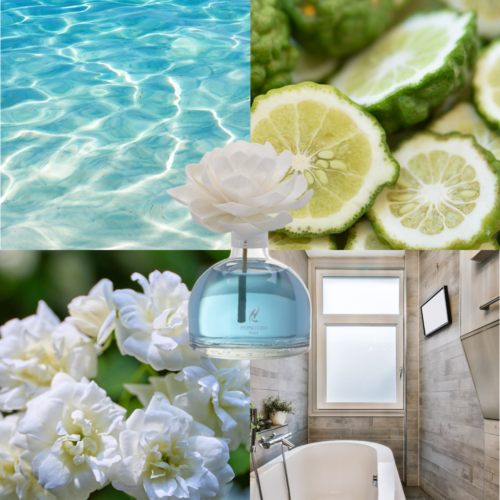 Diffusore Hypno Casa con Fiore – Acqua Marina