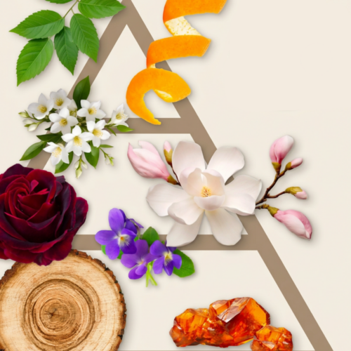Diffusore Hypno Casa con Fiore - Fiori di Magnolia