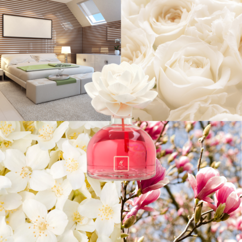 Diffusore Hypno Casa con Fiore - Fiori di Magnolia