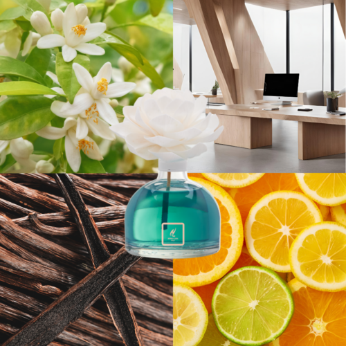 Diffusore Hypno Casa con Fiore – Neroli